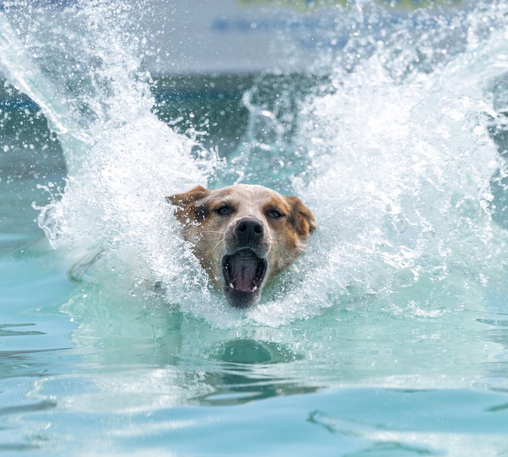 The Gossip Column: August 29, 2025